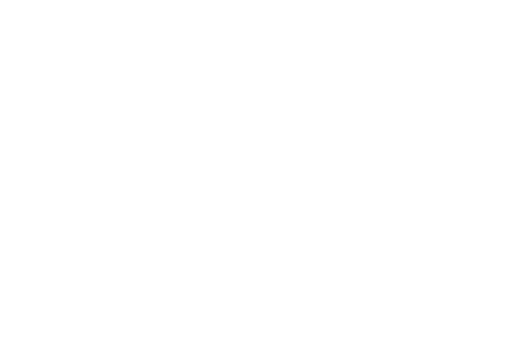 Clean the World Foundation logo