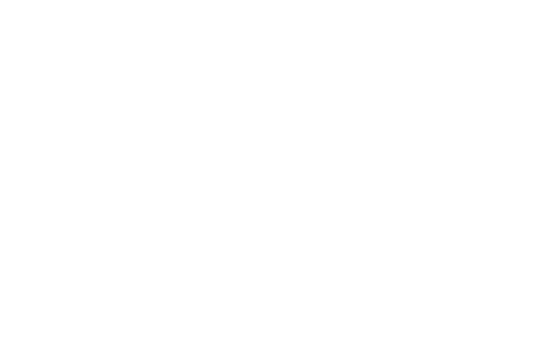 Kangu logo