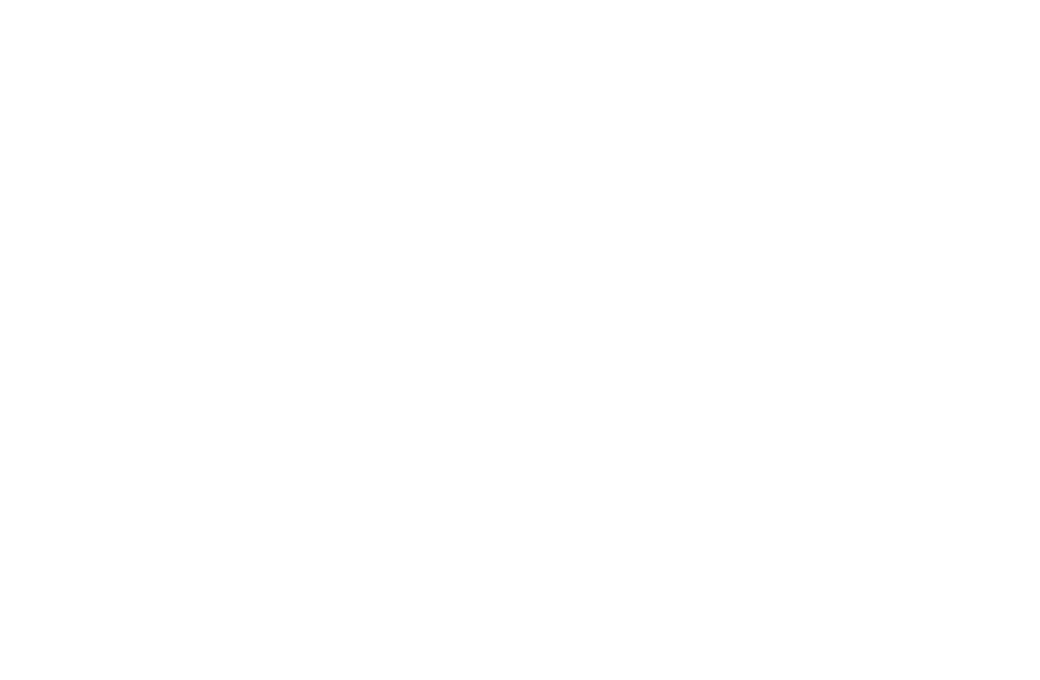 RVR Horse Rescue logo