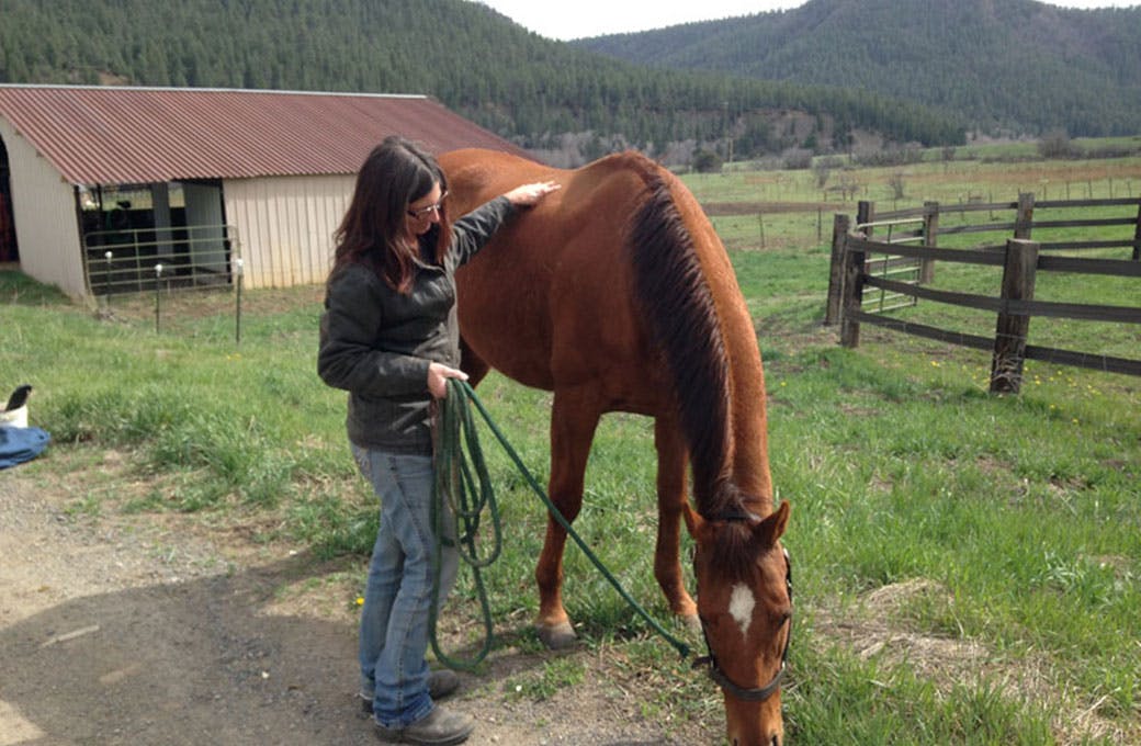 Northstar Horse Rescue