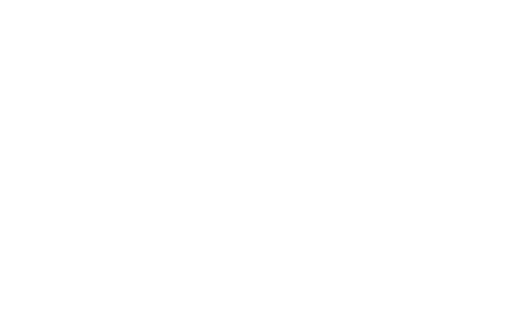 Open Wide Foundation logo