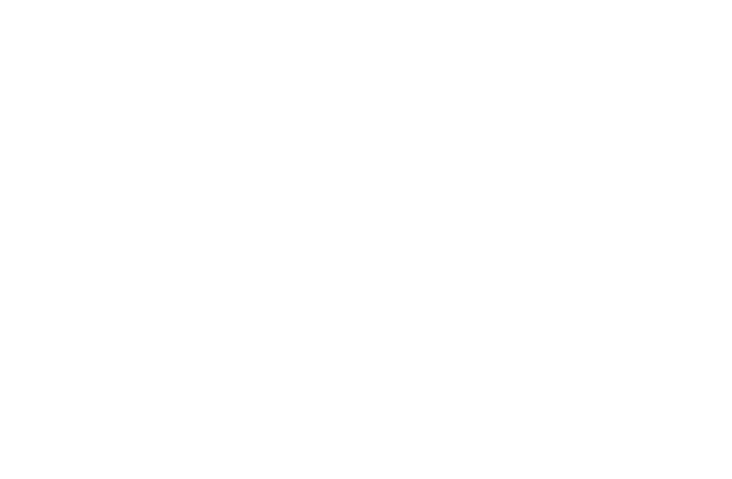 Charity Vision International logo