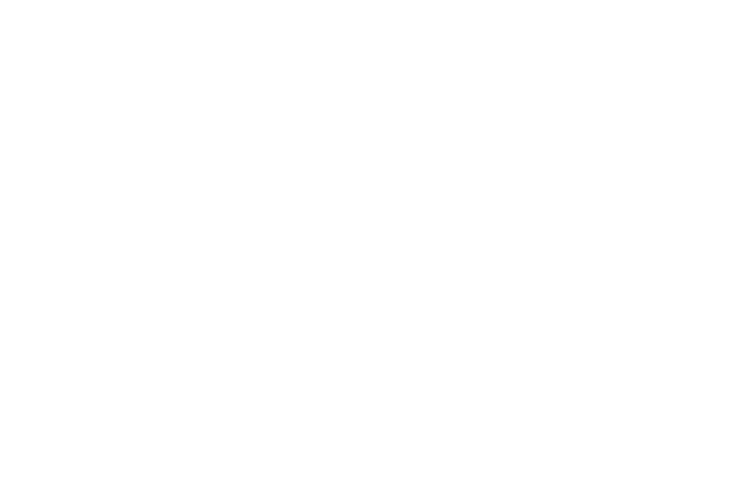 Social Art and Culture logo
