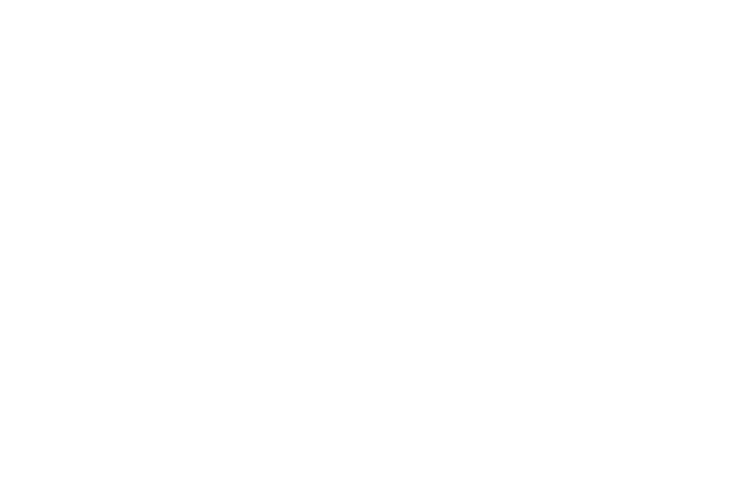 The Path Project logo