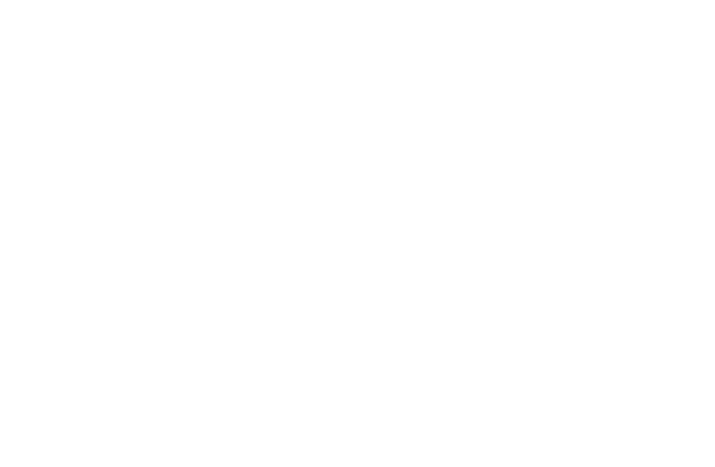 Open Excellence logo