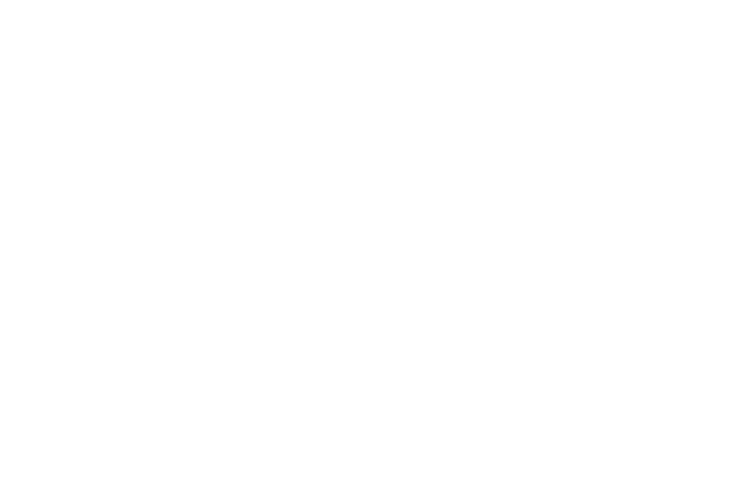 Valley Humane Society logo