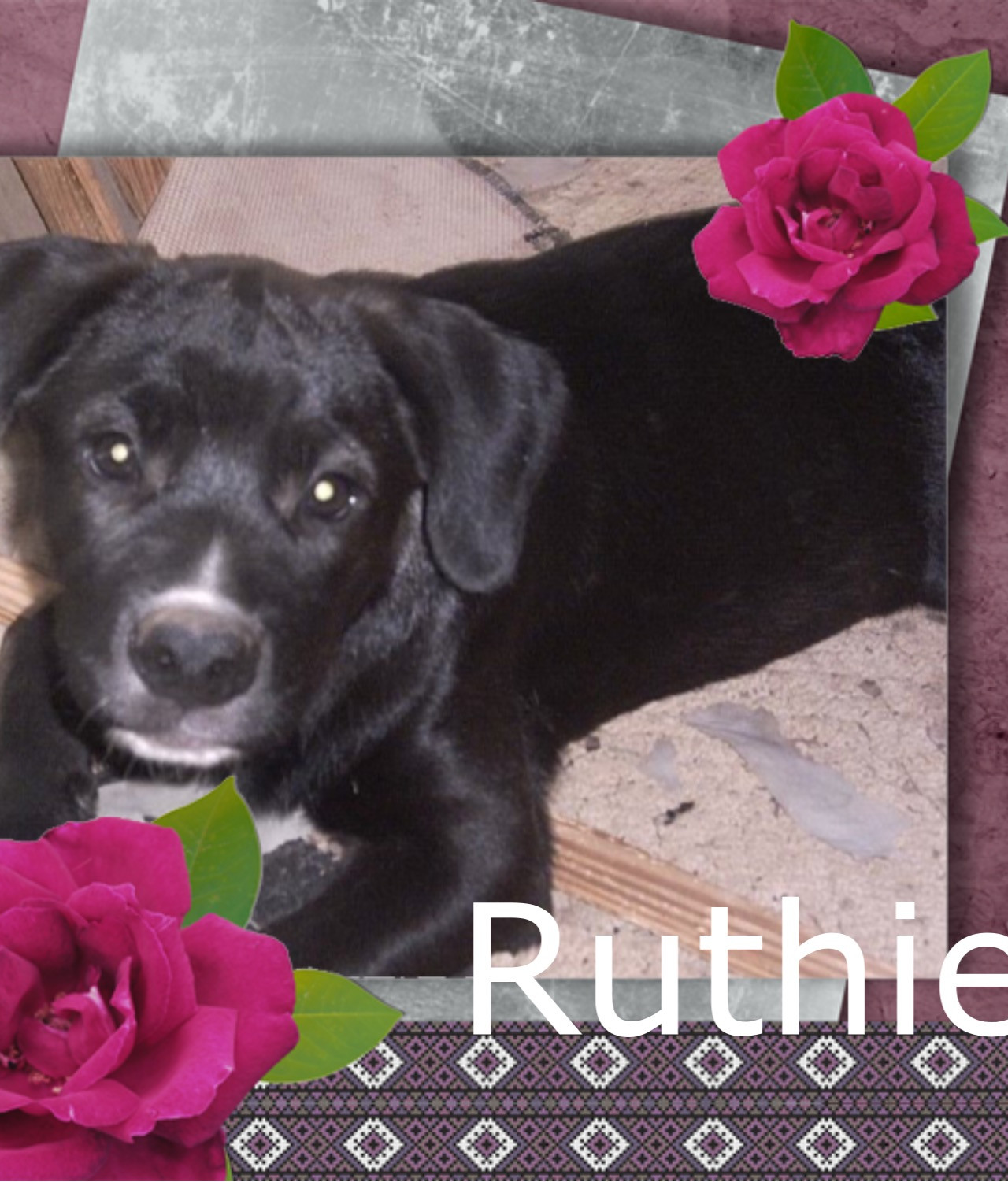 Remembering Ruthie Rescue